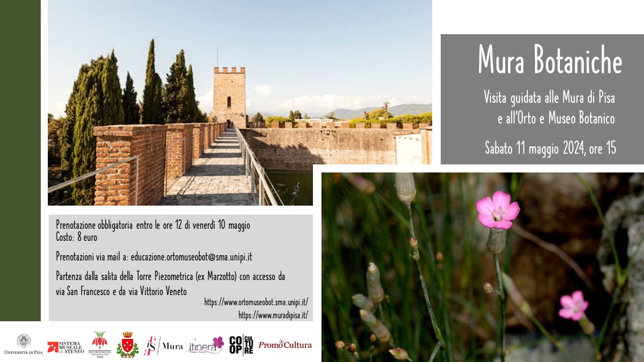 Mura Botaniche di Pisa